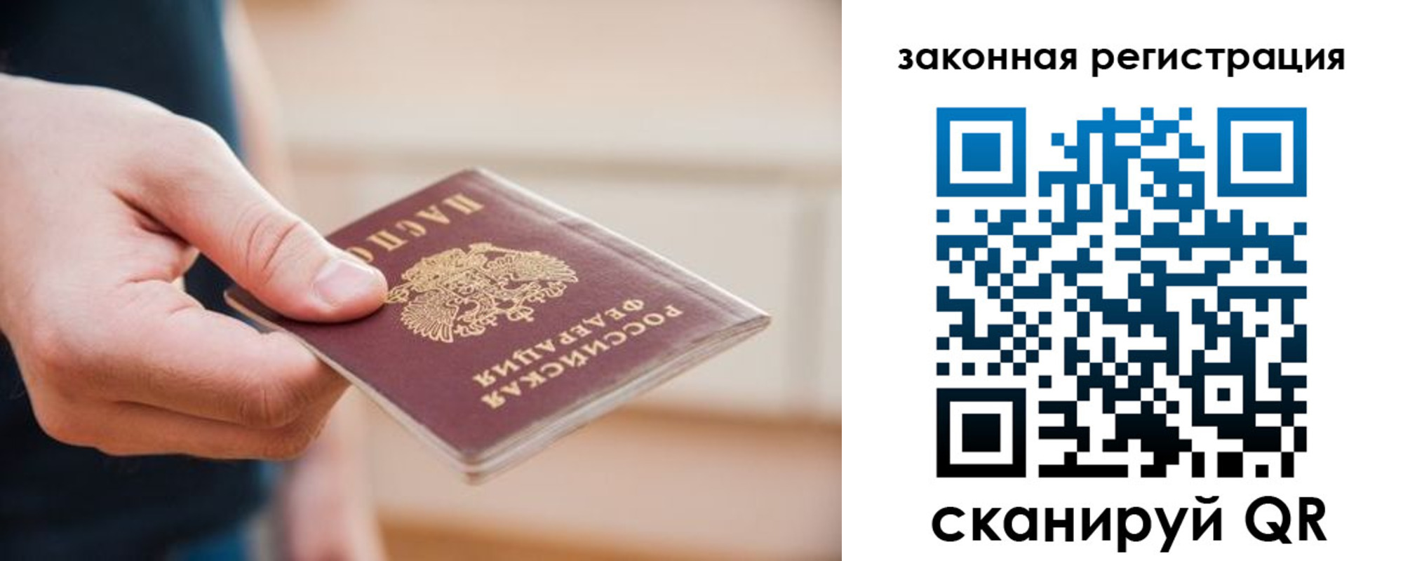 прописка в Ярославской области